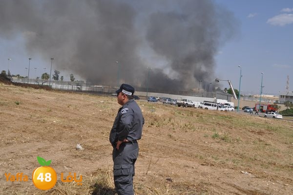 fireramlasejn4288 (35).JPG